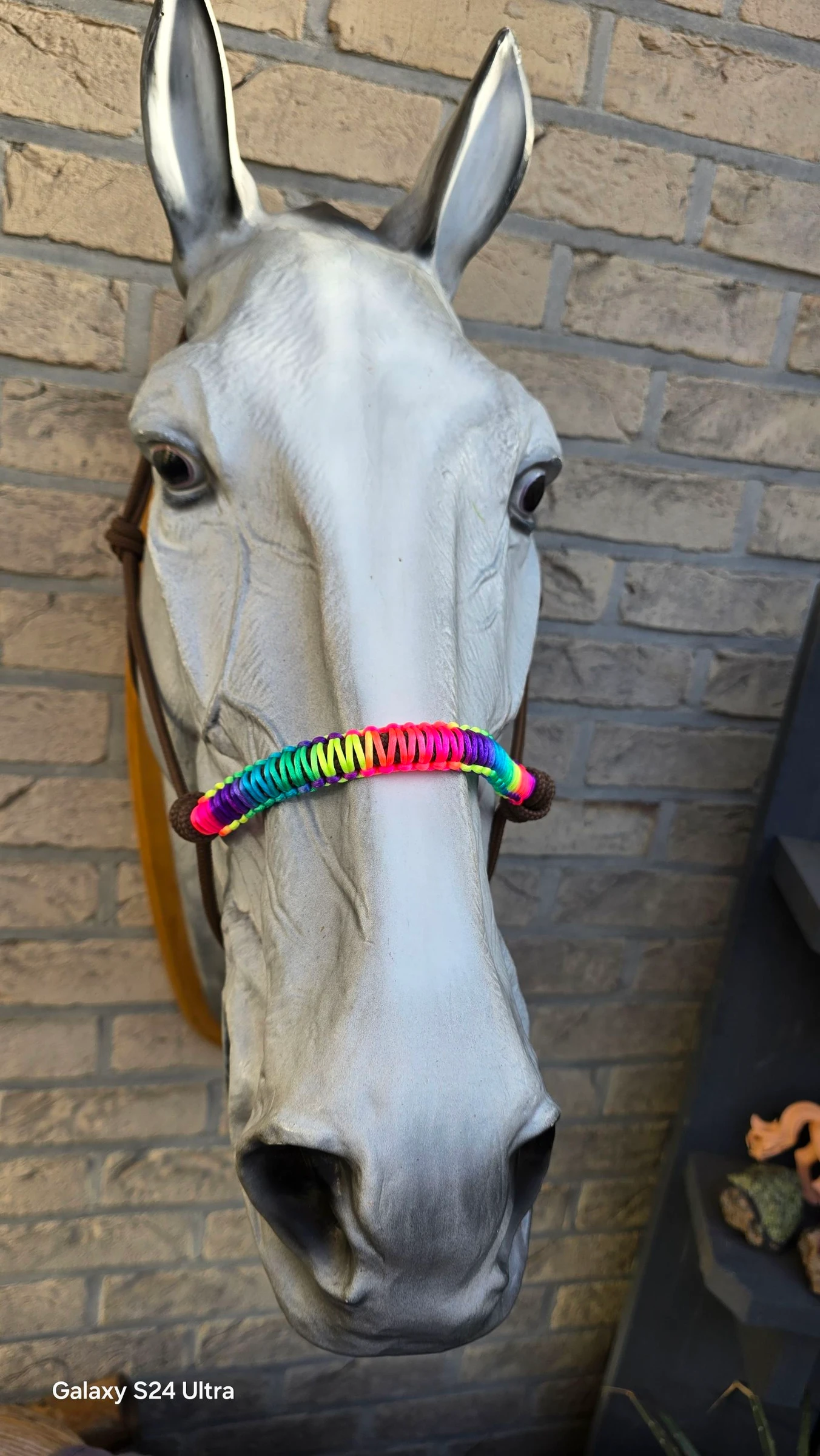 Licol en corde avec muserolle nouée aux couleurs arc-en-ciel – photo 8